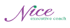 Nice logo