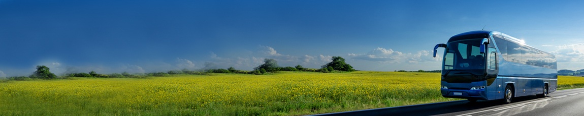img-bg