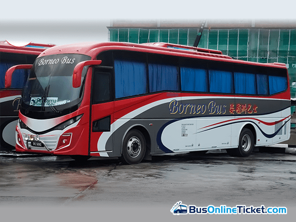 Borneo Bus Image