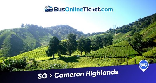 Singapore to Cameron Highlands Bus