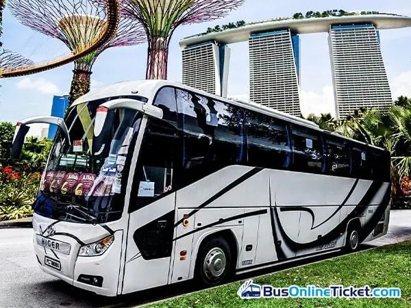 Diamond Coach Bus Image