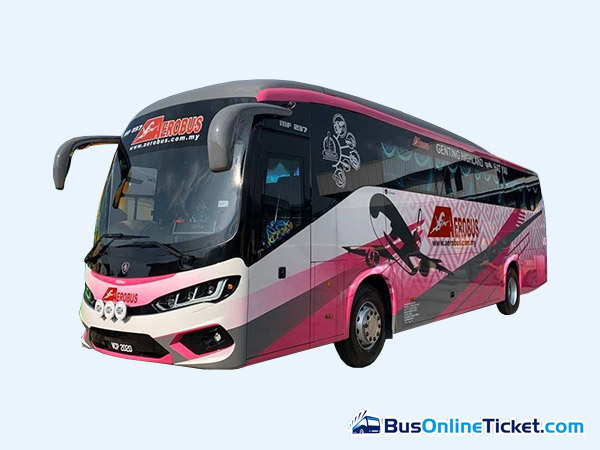 Aerobus (Skybus) coach
