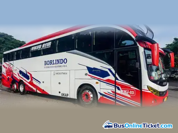 Borlindo Bus - BusOnlineTicket