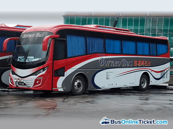 Borneo Bus coach