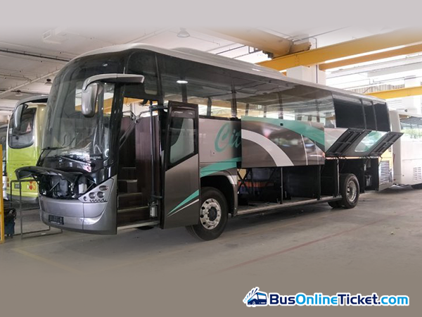 Cityline-Nice To U Express coach exterior