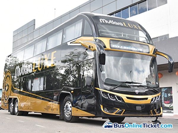 Mutiara LUXE coach exterior
