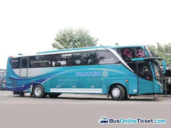 PMTOH Bus - BusOnlineTicket