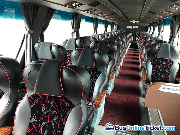 Sani Express Bus Seats