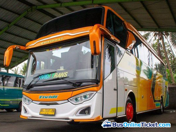 Tividi Bus - BusOnlineTicket