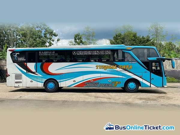 Tunggal Dara Express Bus - BusOnlineTicket