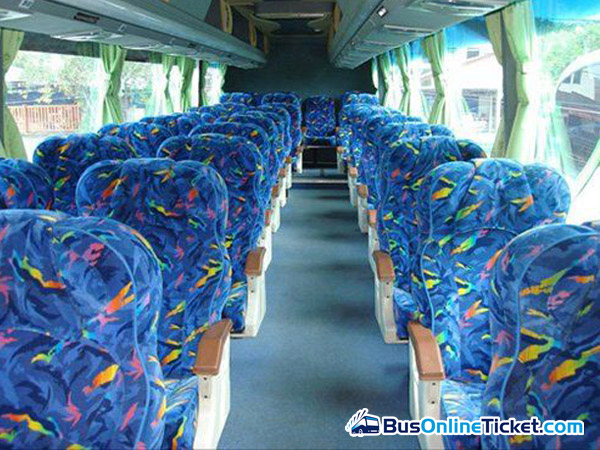 YoYo Express Bus Seats